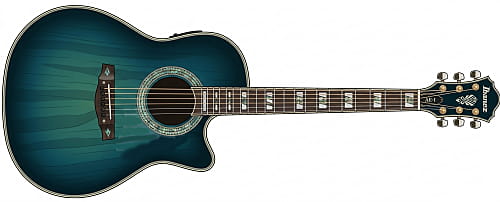 paul gilbertアコースティックギター1_ibanez AC-II